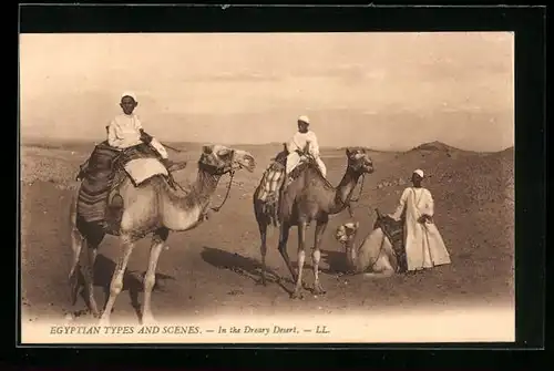 AK Ägypten, Junge Männer mit Kamelen in der Wüste
