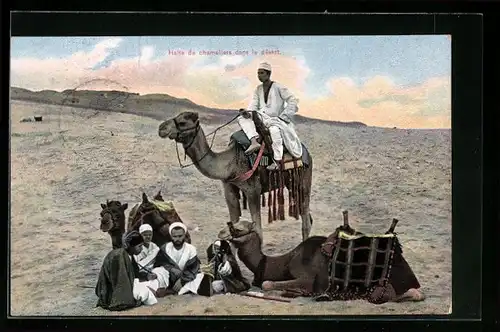 AK Kamele und Kameltreiber bei einer Rast
