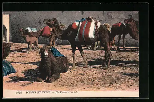 AK Bepackte Kamele in einem Fondouk