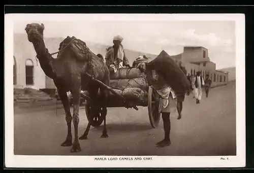 AK Jemen, Maala Load Camels and Cart