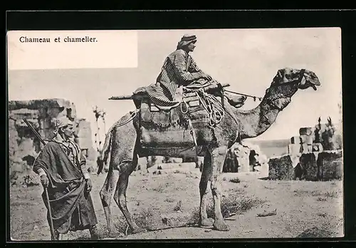 AK Chameau et chamelier, Kamel