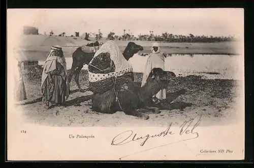 AK Liegendes Kamel mit geschlossenem Tragekorb und weiblichem Fahrgast