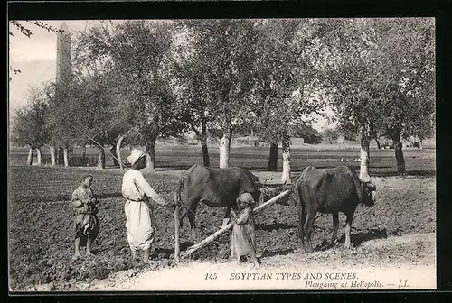 AK Heliopolis, Pflügender Bauer mit Kuh-Gespann und Kindern