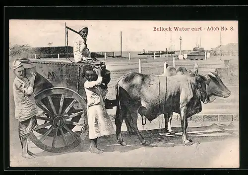 AK Aden, Bullock Water Cart, Wassertransport per Ochsen-Gespann