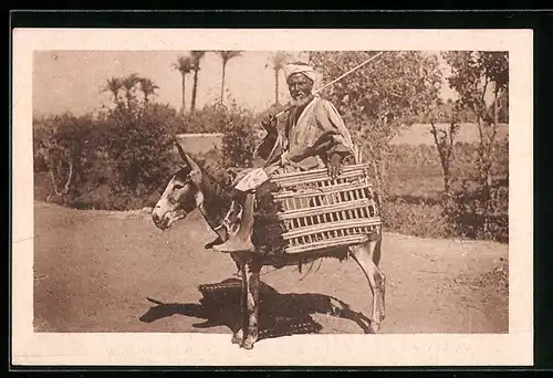 AK Ägypten, Mann mit Korb auf einem Esel