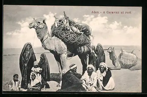 AK Aden, A Caravan at rest, Kamel