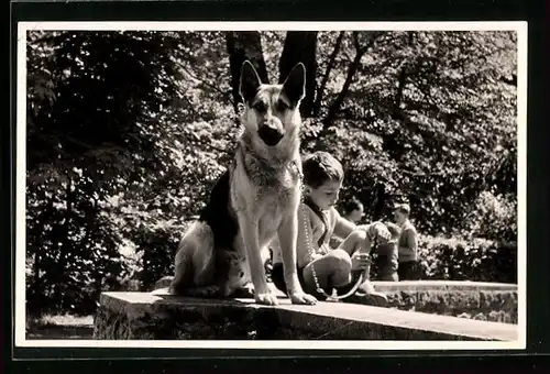 Foto-AK Knabe mit Schäferhund an der Leine auf einer Mauer