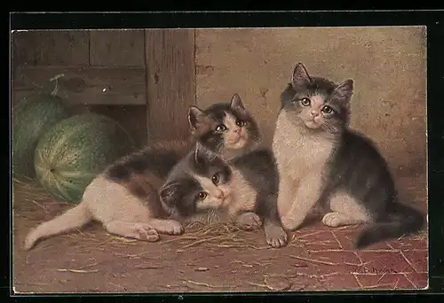 Künstler-AK Drei junge Katzen auf einem Stallboden