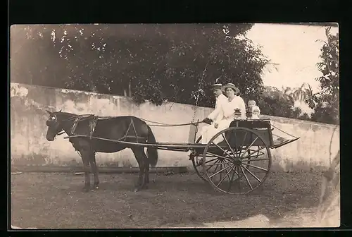 Foto-AK Elegante Familie in einem Einspänner