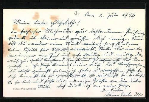 AK Leipzig, Vier Löwen im Zoo