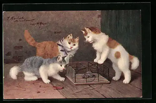AK Drei Katzen mit Maus im Käfig