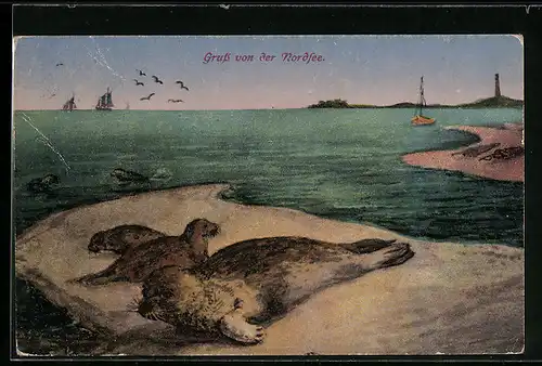 AK Robben an der Nordsee