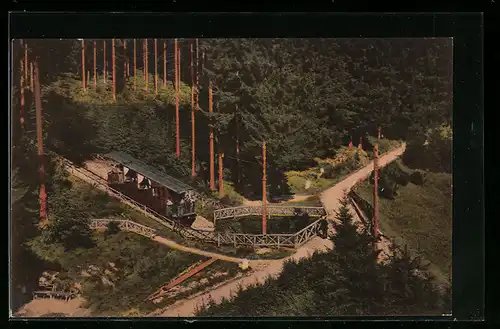 AK Wildbad (württbg. Schwarzwald), Bergbahn im Waldgebiet