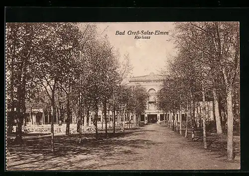 AK Bad Salzelmen, Kurhaus und Allee