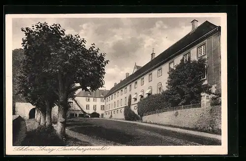 AK Bad Iburg, Strassenpartie am Schloss