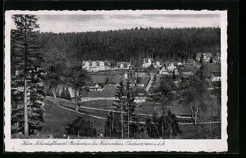 AK Bockswiese b. Hahnenklee (Oberharz), Ortsansicht aus der Ferne