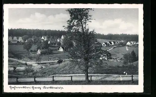 AK Hahnenklee-Bockswiese, Ortsansicht aus der Ferne