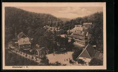 AK Alexisbad i. H., Ortsansicht aus der Ferne