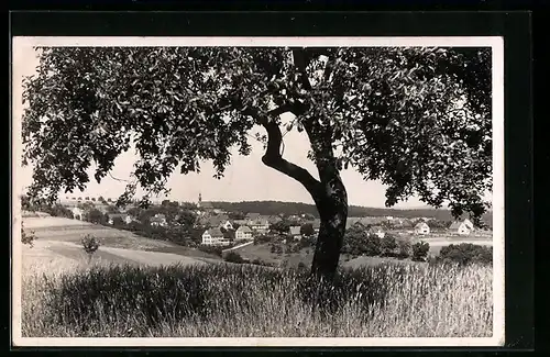 AK Espenschied /Rheingau, Ortsansicht aus der Ferne mit Blick auf die Kirche