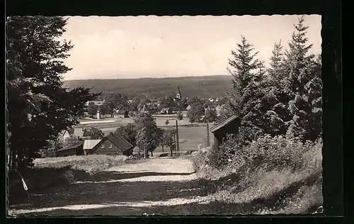 AK Hammerbrücke (Vogtl.), Ortsansicht aus der Ferne