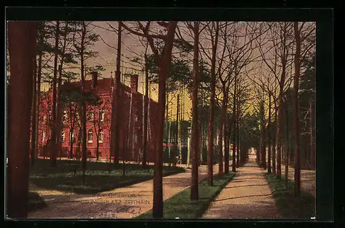 AK Zeithain, am Offizierspark mit Allee, Truppen-Übungsplatz