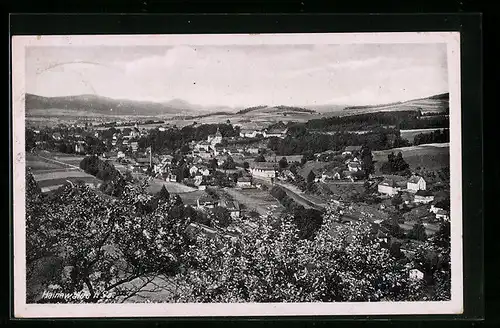 AK Hainewalde i. Sa., Gesamtansicht m. d. Tannenberg i. Hintergrund