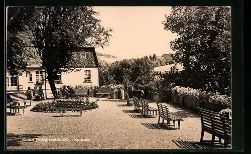 AK Schirgiswalde O/L, Kurpark im Sommer