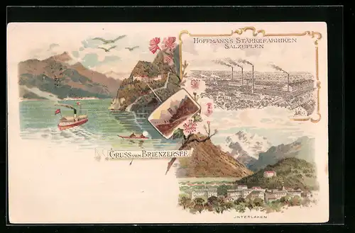 Lithographie Schönenwerd, Spezial-Fabrik für Rahmen-Artikel, Interlaken, Brienzersee