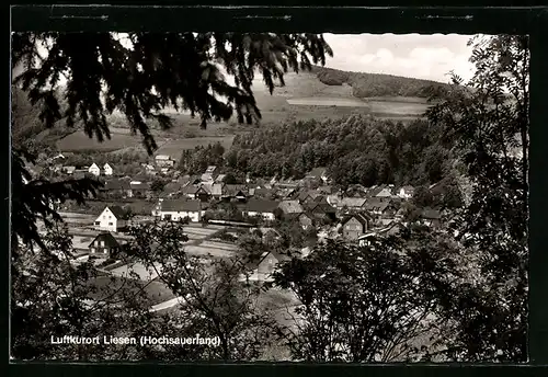 AK Liesen /Hochsauerland, schöne Aussicht auf den Ort