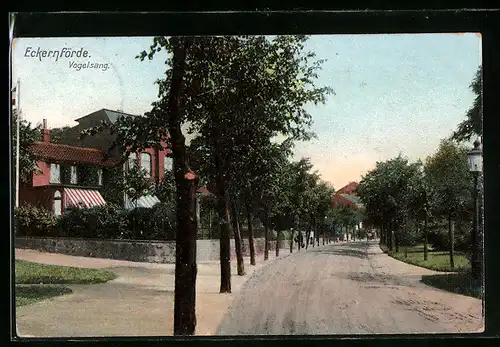 AK Eckernförde, Blick auf die Strasse Vogelsang
