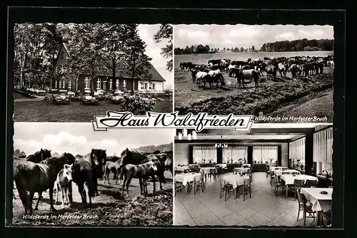 AK Dülmen, Gasthaus Waldfrieden am Wildpark, Innenansicht