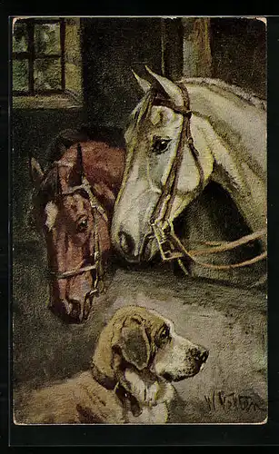 AK Zwei Reitpferde mit Hund im Stall