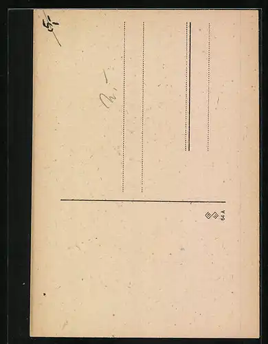 AK Portrait eines Schnauzers mit Halsband