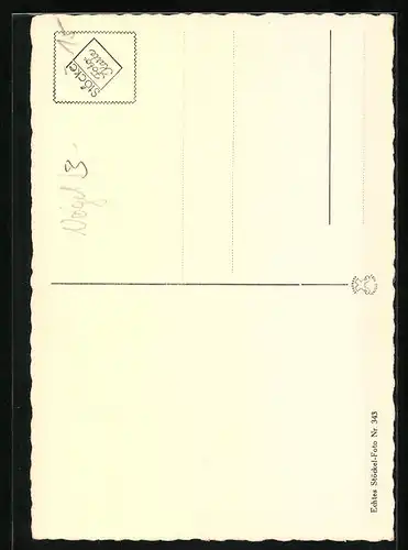 AK Störche im Nest auf einem Dachgiebel