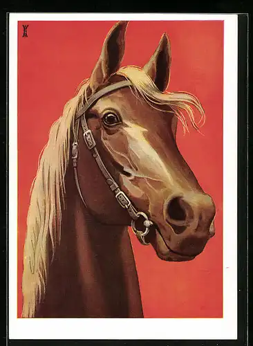 AK Reitpferd mit blonder Mähne