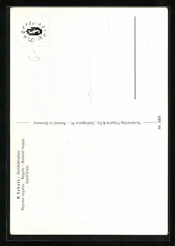 AK Zwei Goldhähnchen vor einem Nadelwald