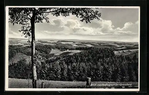 AK Altena i. W., Blick vom Ausflugsort Restaurant Fr. Spelsberg