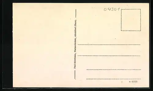 AK Alexisbad i. Selkethal, Ortsansicht von oben