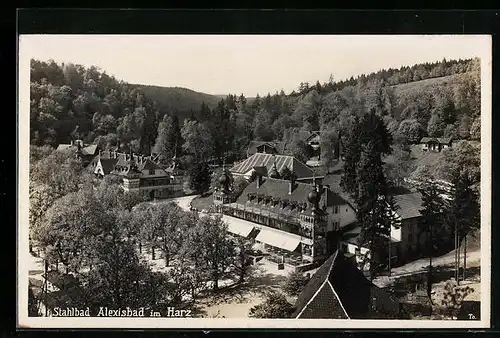 AK Alexisbad i. Selkethal, Ortsansicht mit Waldblick