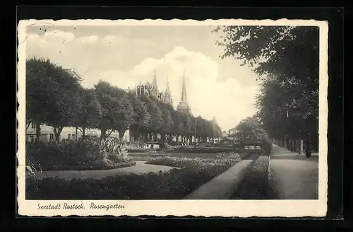 AK Rostock, Blick in den Rosengarten