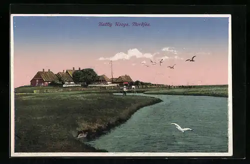 AK Hallig Hooge, Bauernhäuser am Nordseestrand