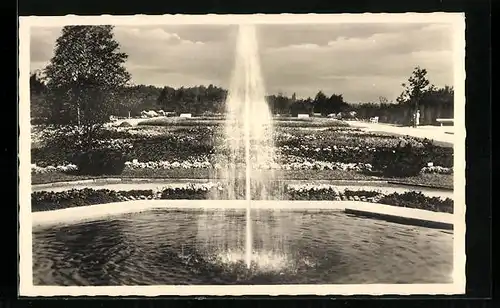 AK M.-Gladbach, Bunter Garten mit Springbrunnen