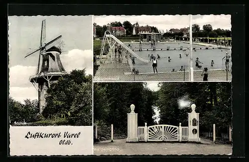 AK Varel Oldb., Mühle, Schwimmbad, Waldeingang