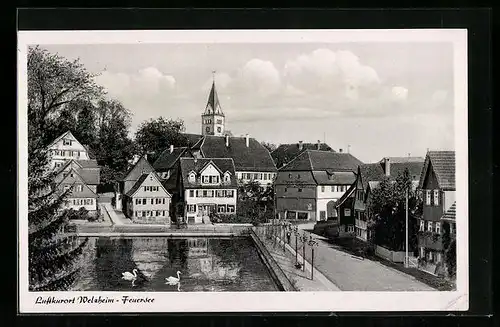AK Welzheim, Feuersee mit Schwänen