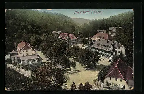 AK Alexisbad /Harz, Ortsansicht bei Sonnenschein