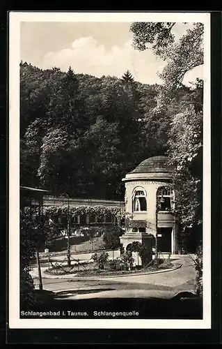 AK Schlangenbad i. Taunus, Schlangenquelle im Waldgebiet