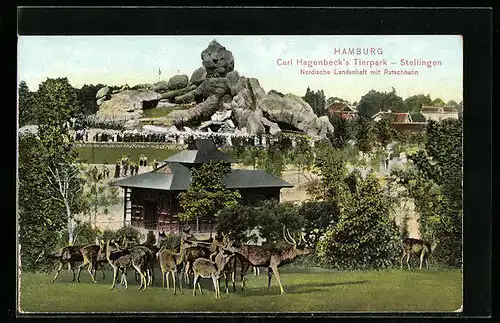 AK Hamburg-Stellingen, Carl Hagenbeck`s Tierpark, Nordische Landschaft mit Hirsch und Rehen