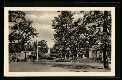 AK Berlin-Friedrichsfelde, Eingang zum Tierpark