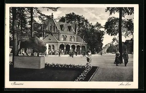 AK Hannover, Viel Trubel am Zoo