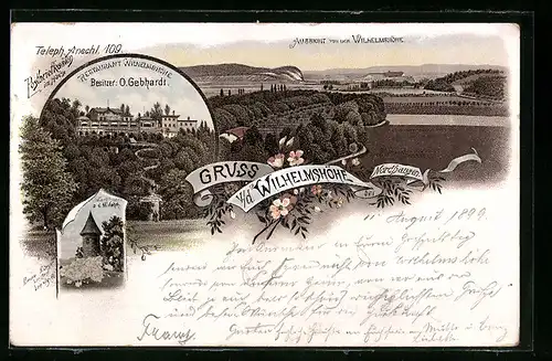 Lithographie Nordhausen, Gasthof Wilhelmshöhe O. Gebhardt mit Zugangsweg aus der Vogelschau, Aussicht vom Gasthof
